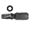 TX10 Torx 1/4