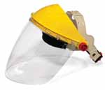 Face Shield