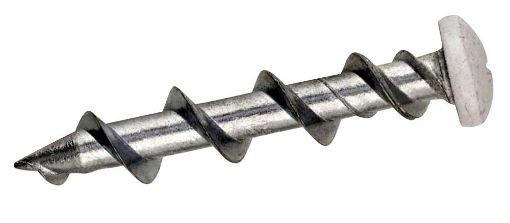 Picture of Wall Dog White Pan Head Light Duty Anchor 936394